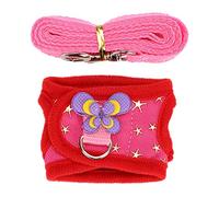 Haofy Ensemble de Harnais pour Hamster, Laisse Confortable et Réglable pour Petits Animaux, Idéal pour Les Promenades en Plein Air (M)