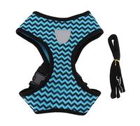 Haofy Ensemble de Laisse et Collier pour Chien, Poignée en Maille Réfléchissante, Harnais Réglable avec Laisse Robuste pour Chiens et Chats de Petite et Moyenne Taille, visibilité Nocturne Parfaite