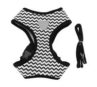Haofy Ensemble de Laisse et Collier pour Chien, Poignée en Maille Réfléchissante, Harnais Réglable avec Laisse Robuste pour Chiens et Chats de Petite et Moyenne Taille, visibilité Nocturne Parfaite