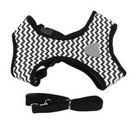 Haofy Ensemble de Laisse et Collier pour Chien, Poignée en Réfléchissante Réglable pour Chiens de Petite et Moyenne Taille, Chats, visibilité Nocturne, Entraînement, Promenades, Contrôle de Prise (M)