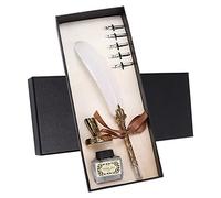 Haofy Ensemble de Stylos à Plumes, Costume D'écriture Rétro Exquis en Acier Inoxydable pour la Calligraphie, Décoration de Table Artistique pour les Couples et les Personnes âgées (WHITE)