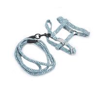 Haofy Ensemble Harnais et Laisse pour Chat, Respirant et Léger, Corde de Marche pour Chats de 2,5 à 10kg, Design Mignon pour Les Promenades Quotidiennes (M)