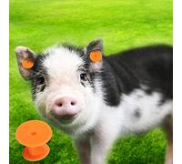 Haofy Étiquette d'oreille pour Bétail, Matériau PP, Couleur Vive, Grande Taille pour l'identification et la Vaccination des Porcs et du Bétail (Boucle d'oreille ronde orange sans texte 30 * 30mm)