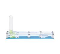 Haofy Ferme de Fourmis en Acrylique, Boîte d'élevage Hydratante Transparente avec Château d'eau 5,5 X 0,9 X 3,0 Pouces, Outil éducatif Léger pour Les Passionnés et Les Salles de Classe,