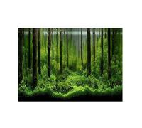 Haofy Fond d'aquarium sous-Marin en PVC, Affiche de Forêt, Papier Adhésif de Scène sous-Marine, 24,02 X 11,81 Pouces pour de Superbes Décorations d'aquarium pour la Maison (76 * 46 cm)