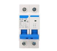 Haofy Interruption de la Fonction du Ménage PC Mini du Commutateur Principal ISTRST 2P pour des Performances Fiables dans les Systèmes électriques