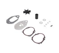 Haofy Kit de Réparation de Turbine de Moteur Hors-bord Marin, Cylindre Noir avec Plaque Métallique, pour Moteurs 55 60, Ensemble Complet de Reconstruction de Pompe avec Joints