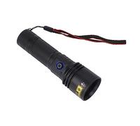 Haofy Lampe de Poche 20 W 365 Nm avec Corps en Acier Inoxydable de Sortie 3 000 MW pour Détecter les Documents Falsifiés, les Taches d'animaux, les Bijoux en Ambre, Adaptée pour l'inspection de