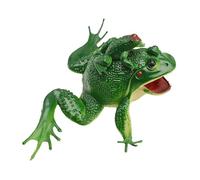 Haofy Modèle de Grenouille Jouet, Décoration d'aquarium Réaliste pour le Plaisir en Famille, Comprend un Ensemble Mère et bébé avec des Sons Authentiques, Bon Affichage Réaliste pour l'aquarium