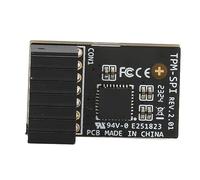 Haofy Module de sécurité, Accessoire de Carte Mère 14-1 Broches TPM2.0 Remplacement du Module de sécurité de Cryptage SPI pour Ordinateur pour