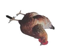 Haofy PAEE DE Pace DE Parce SUPÉRIEUX ACRYLIQU (Yklu090a)