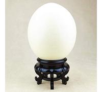 Haofy Présentoir en Forme d'œuf, Matériau Imitation Bois, Base Haute stabilité pour Décorer les œufs d'autruche et 'émeu à la Maison ou au Bureau (BLACK)