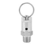 Haofy Soupape de Surpression NPT 1/4 Po, sécurité du Fût en Acier | Le Corps en Acier Inoxydable 304 Résiste à la Corrosion Acide de la Bière, évacue Automatiquement la Pression Excessive de