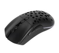 Haofy Souris d'ordinateur, Souris de Jeu de Conception Ergonomique Filaire ou sans Fil DPI Réglable pour la Famille
