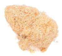 Haofy Tapis d'escalade en Laine de Peuplier pour Serpent des Maïs et Lézard, Odeur de Gaz Naturel, Fournitures pour Reptiles pour Animaux Rampants, Blanc, 1 Paire X Soie de Bois de Tremble (400 g)