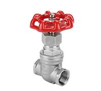 Haofy Vanne à Vanne Robuste en Acier Inoxydable DN15 pour Eau, Gazole, D'écluse Droite pour équipement Industriel, Matériau en Acier Inoxydable 304