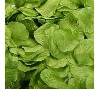 HAOSHICS Lot de 1200 pétales de rose artificiels pour nuit romantique, décoration florale de mariage, fête, événements (vert)