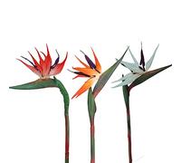 HAOSHICS Lot de 3 Fleurs artificielles en Soie pour Maison, Bureau, Table de Mariage, Centre de Table (Petit, 3 Couleurs)