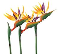 HAOSHICS Lot de 3 Fleurs artificielles en Soie pour Maison, Bureau, Table de Mariage, Centre de Table (Taille L, Jaune)