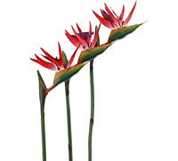 HAOSHICS Lot de 3 Fleurs artificielles en Soie pour Maison, Bureau, Table de Mariage, Centre de Table (Taille L, Rouge)