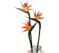 HAOSHICS Lot de 3 oiseaux paradisiaques artificiels Strelitzia - Plantes artificielles en soie, Fausses Fleurs, Fausse Plante pour maison, bureau, mariage, centre de table