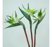 HAOSHICS Strelitzia Lot de 3 fleurs artificielles en caoutchouc à tige longue de 61 cm pour décoration d'intérieur, fête, décoration d'automne (vert)