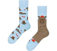 Haowul Chaussettes Cadeaux Capybara Chaussettes d'amant De Capybara Facilement Distraites par Le Cadeau du Propriétaire De Capybaras Cadeau d'amoureux des Animaux