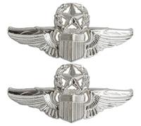 Haowul Lot De 2 Badges Souvenirs De Pilote, Épingles D'aile d'aviateur, Broche De Pilote De Chasse pour Vêtements, À Dos, Chapeau, Écharpe, Chemise, Uniforme, Décoration
