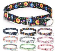 haoyueer Collier de dressage pour chien, collier martingale anti-traction, collier coulissant avec anneau d'arrêt coulissant pour chiens de petite, moyenne et grande taille (taille S, noir)