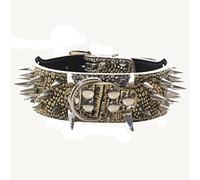 Haoyueer Collier en cuir pour chien de taille moyenne et grande taille avec pointes cloutées et clous de 5,1 cm de large