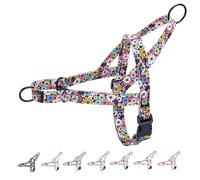 haoyueer Harnais anti-traction pour chiens de petite, moyenne et grande taille - Harnais de dressage en nylon à motif floral (feux d'artifice, taille L)
