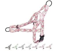 haoyueer Harnais anti-traction pour chiens de petite, moyenne et grande taille - Harnais de dressage en nylon à motif floral (pivoine, taille XS)