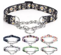 haoyueer Martingale Collier pour chien - Chaîne en acier inoxydable, collier de dressage anti-traction avec motif floral pour chiens de petite, moyenne et grande taille (taille S, marguerite)