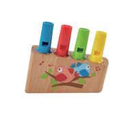 Hape Flûte De Pan Arc-en-ciel 10 Pièces