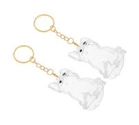 HAPINARY 2 Pièces Porte-clés Boîte Transparente pour Poils Animaux Capsule Souvenir et Visible Pendentif Rangement Cheveux Chien Coffret Mémorial pour Propriétaires de Chiens