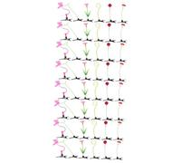 HAPINARY 48pièces Barrettes Avec Design De Plantes Accessoires Capillaires Pour Garçon Fille Parfaites Pour Événements Et