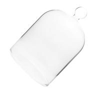 HAPINARY Cloche en Verre Décorative à Dôme Transparent Couvercle | Verre Soufflé sans Plomb, Finition Cristal Claire, pour Mini Objets, Parfum, Maison et Boutique