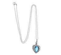 HAPINARY Collier Urne Funéraire Cœur Acier Inoxydable pour Cendres de Chien ou Animal de Compagnie Pendentif Mémoire avec Compartiment Sécurisé Commémoratif à Ouvrir Souvenir Affectif