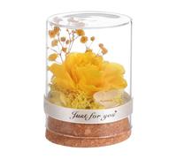 HAPINARY Dôme de Verre Rose Immortelle Créatif pour Maison et Bureau | Fleur Éternelle Jaune, Coffret Présent de Noël et Saint-valentin, Petite sous Cloche en Verre Borosilicate