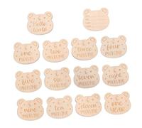 HAPINARY Ensemble De 14 Plaques De Nom Pour Nouveau-né Disques Mensuels En Bois Cartes De Croissance Pour Bébé