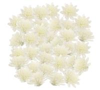 HAPINARY Fleurs de Chrysanthème en PE Accessoires Aromathérapie 100 Pièces pour Diffuseur Libèrent Parfum et Arôme D'huiles Essentielles, pour Intérieur et Bien-être