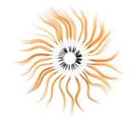 HAPINARY Kit Échantillons de Cheveux Naturels pour Test de Coloration Anneaux de Test pour Formation Coiffure Nuancier de Cheveux Lisses