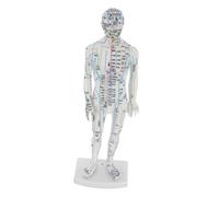 HAPINARY Modèle Acupuncture Chinois Homme Simulation Corps Complet Méridiens Points Acupuncture pour Étude et Pratique Médecine Traditionnelle Chinoise