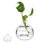 HAPINARY Vase Verre Transparent pour Plantes Hydroponiques Contenant Décoratif Élégant pour Fleurs et Centre de Table Pot Design Simple pour Salle et Bureau