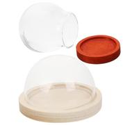 HAPINARY Vitrine Verre Transparent 2 pièces avec Base Bois pour Tables à Manger Style Créatif et Design Moderne Petite Cloche pour Collections