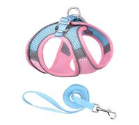 Hapivida Harnais pour Chien avec Laisse Set Réfléchissant Respirable, Harnais de Sécurité Maille pour Promenade Randonnée Entiènement Taille S XL (XS)