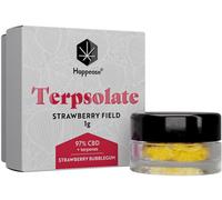 Happease - Extrait Champ De Fraises Terpsolate, 97% , 1g