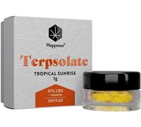 Happease - Extrait Lever De Soleil Tropical Terpsolate, 97% , 1g