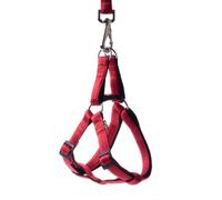 HAPPET Ensemble Laisse et Harnais Soft Style L 2 cm | Ensemble de marchepied rouge avec dessous noir pour chiens moyens et grands, sangle en nylon de 120 cm, bretelles réglables de 34 à 59 cm