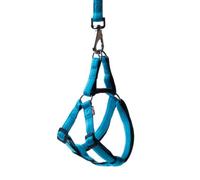 HAPPET Ensemble Laisse et Harnais Soft Style L 2 cm | Ensemble de marchepied Turquoise avec dessous noir pour chiens de taille moyenne et grande, sangle en nylon de 120 cm, bretelles réglables de 34 à